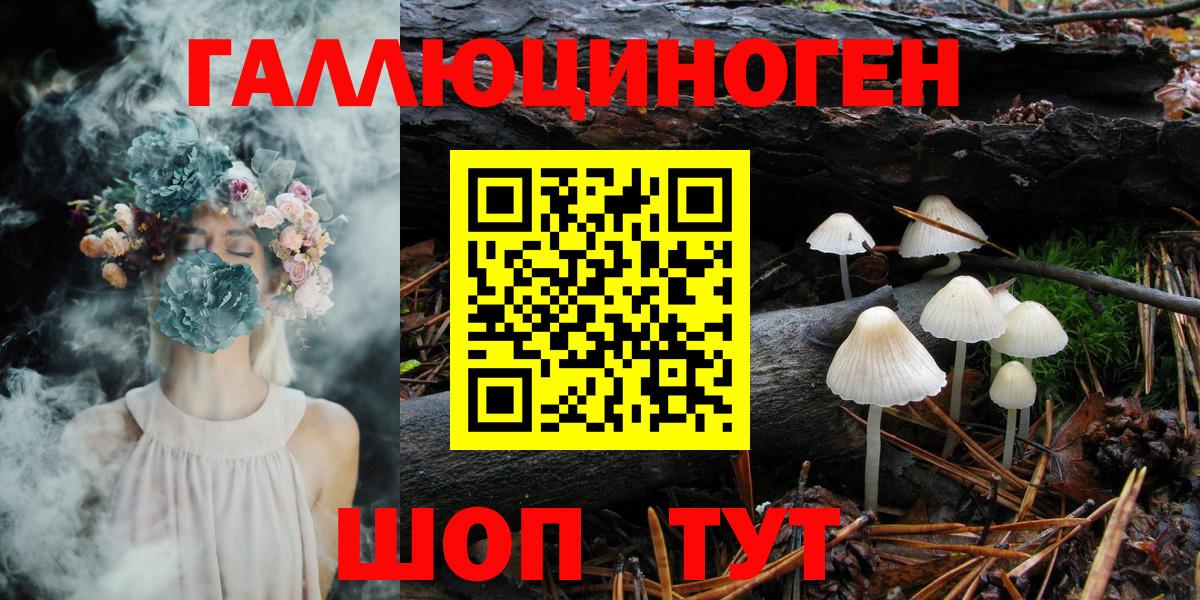 Псилоцибиновые грибы Magic Shrooms  Вход с VPN  как найти наркотики  Одинцово 