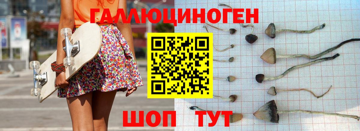 Галлюциногенные грибы ЛСД Одинцово